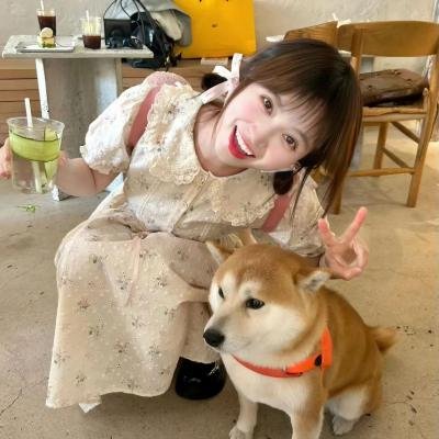 功夫特务
